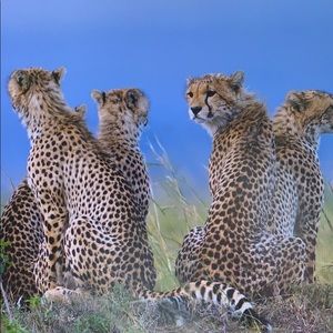 Meet your Posher, Eddy